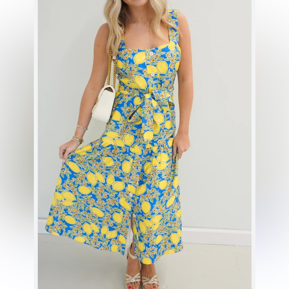 TCEC -Lemon Motif Front Button Up Midi Tank Dress Blue